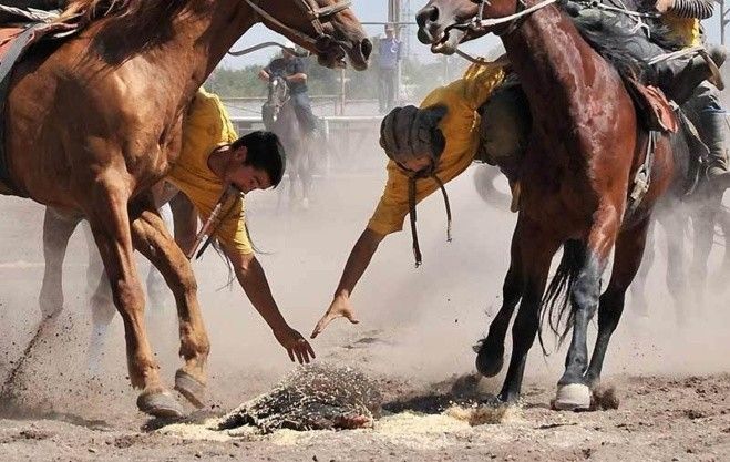 bouzkachi video vice