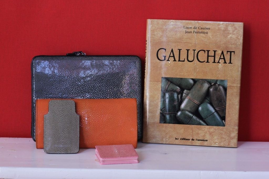 galerie galuchat wsn