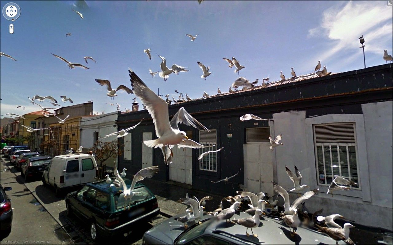 mouettes street view