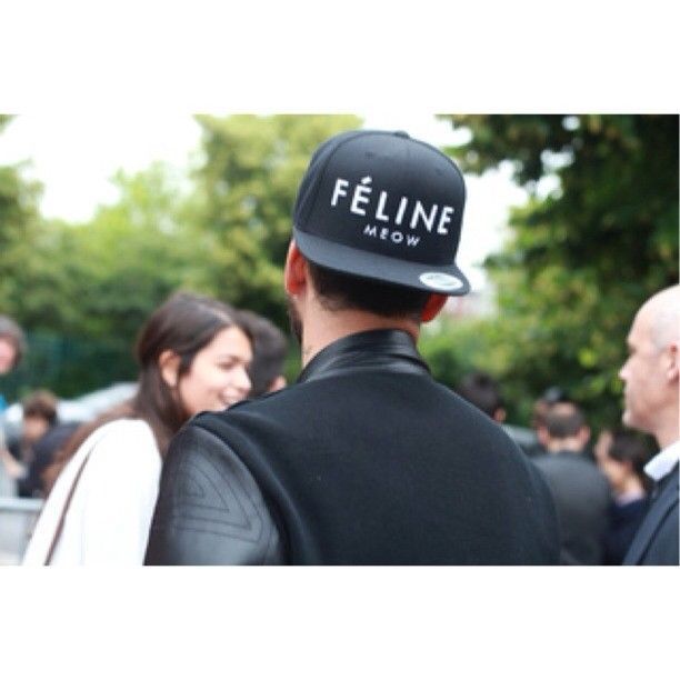 féline brian lichtenberg