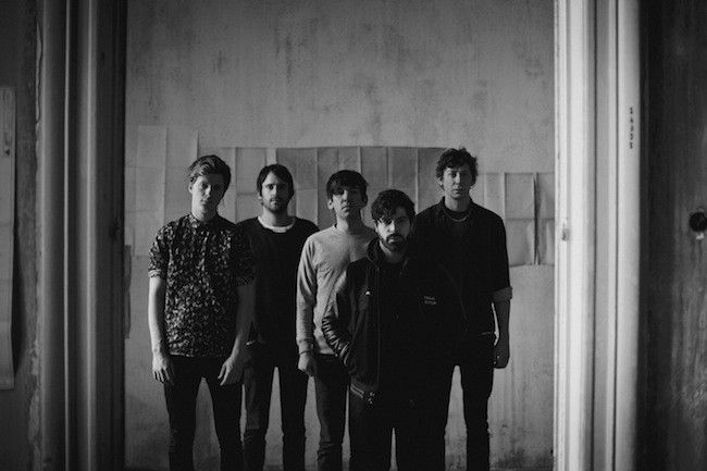 foals-itv-2