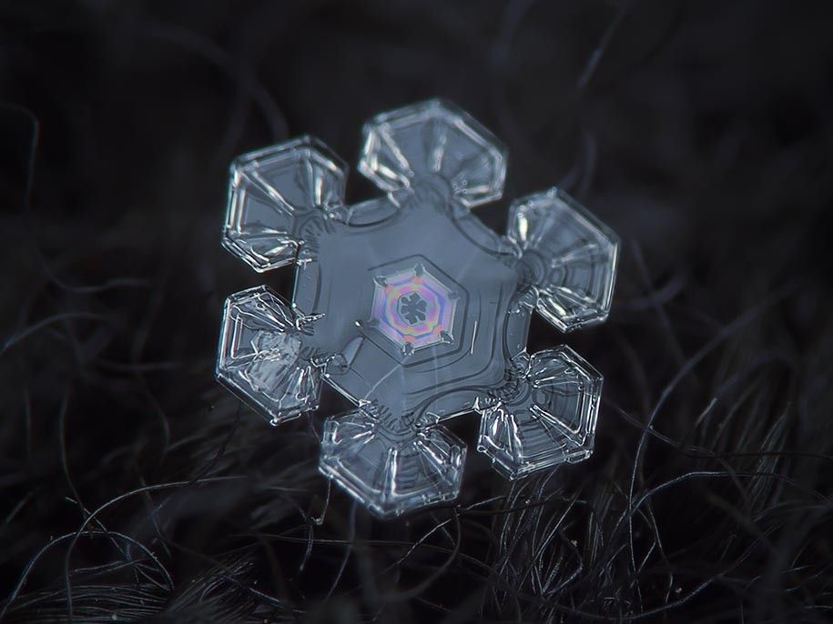 snowflake closeup diy setup alexey kljatov 11