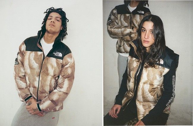 supreme northface