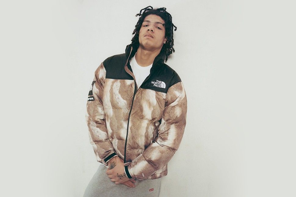 Supreme the north face 2013