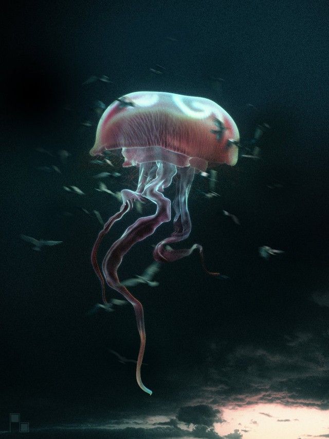 illustrations 1