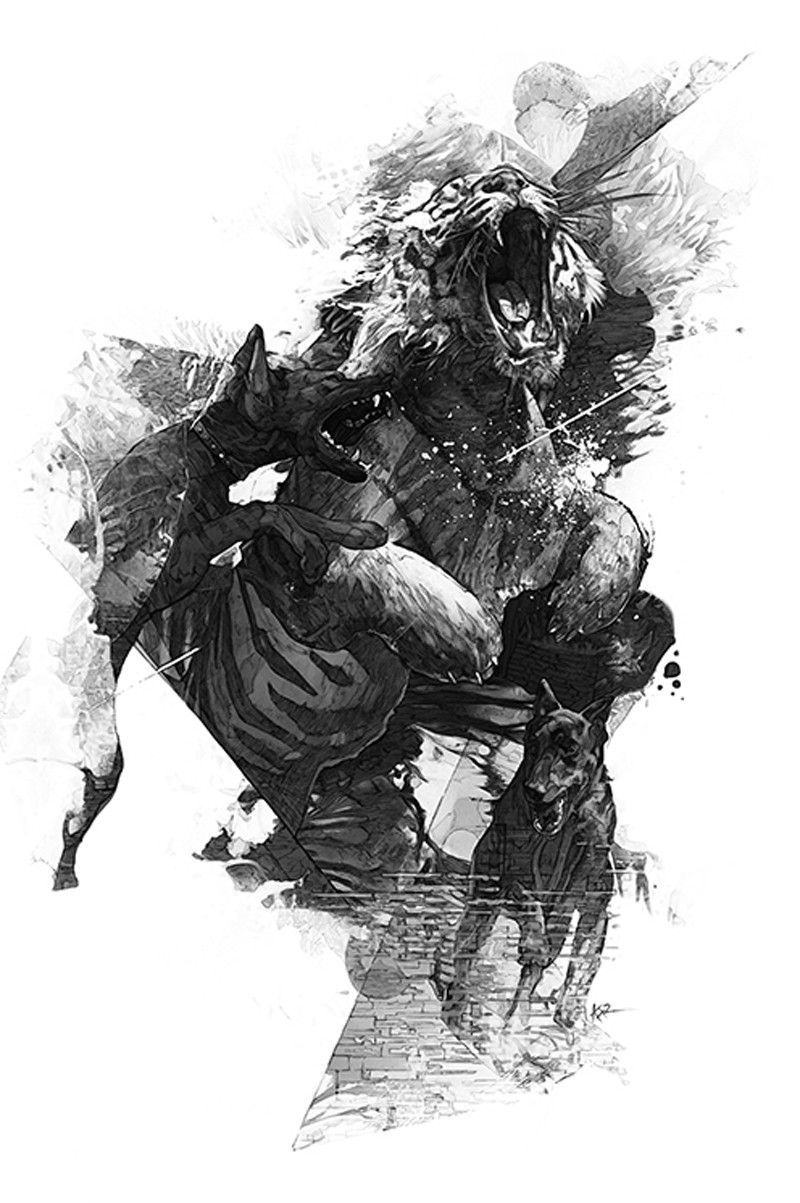 Illustrations book Adam Przechrzta