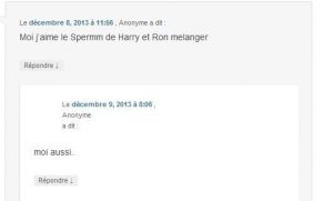 commentaires streaming harry potter