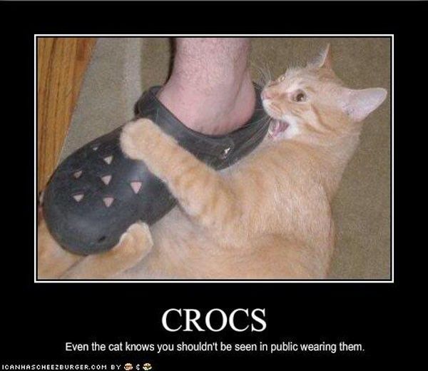cat-hates-crocs