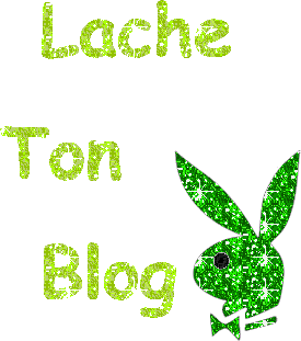 lache-ton-blog-skyblog