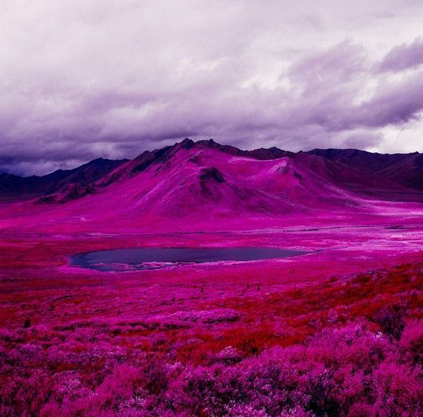 Arctic-Landscape-Transformed-into-Infrared-Paradise-07