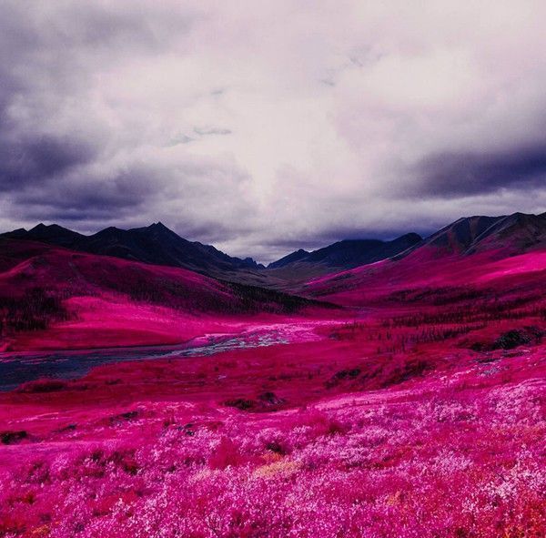 Arctic-Landscape-Transformed-into-Infrared-Paradise