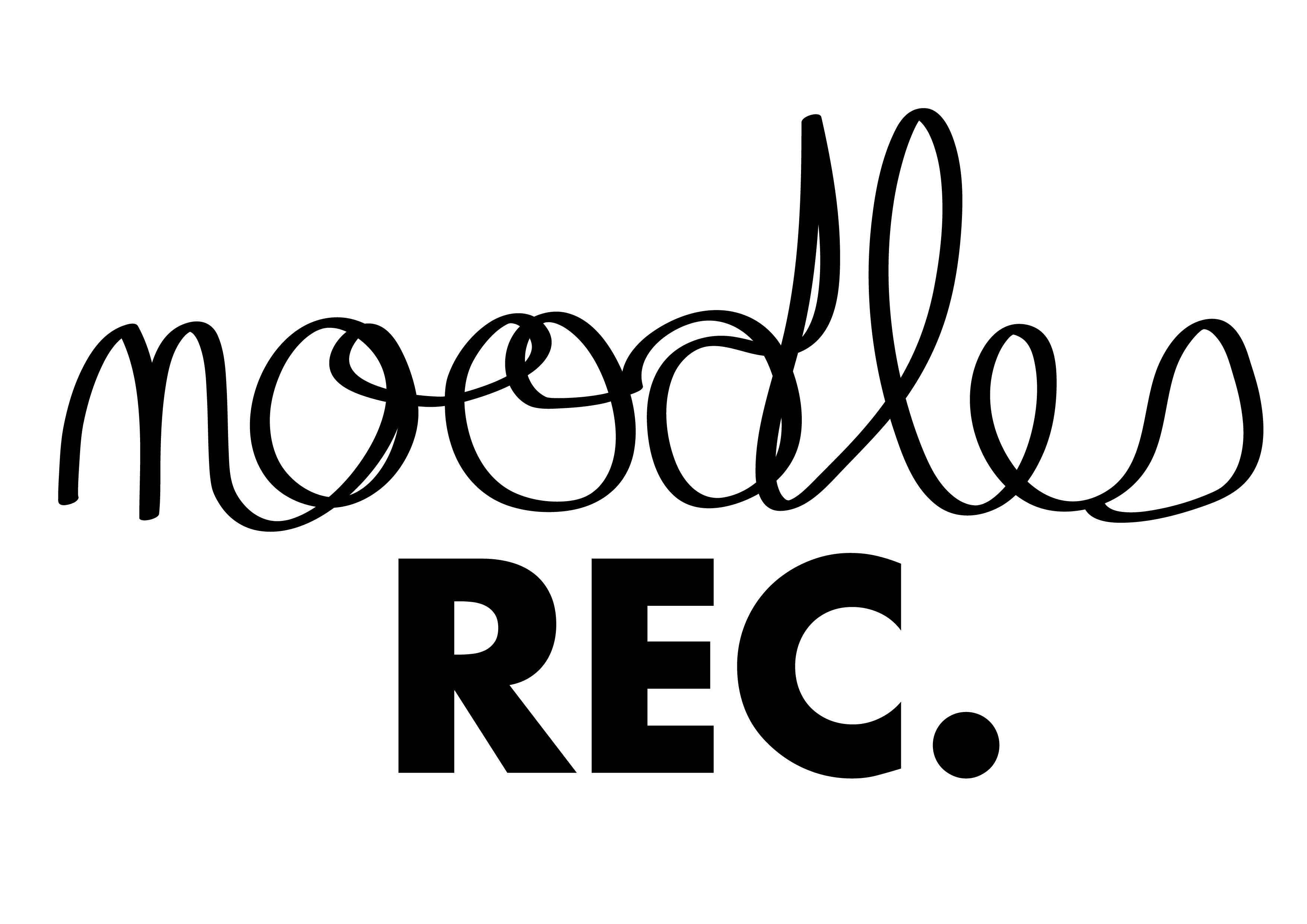 Noodles Rec