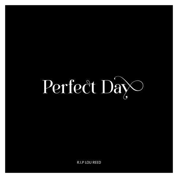 typo-perfect-day