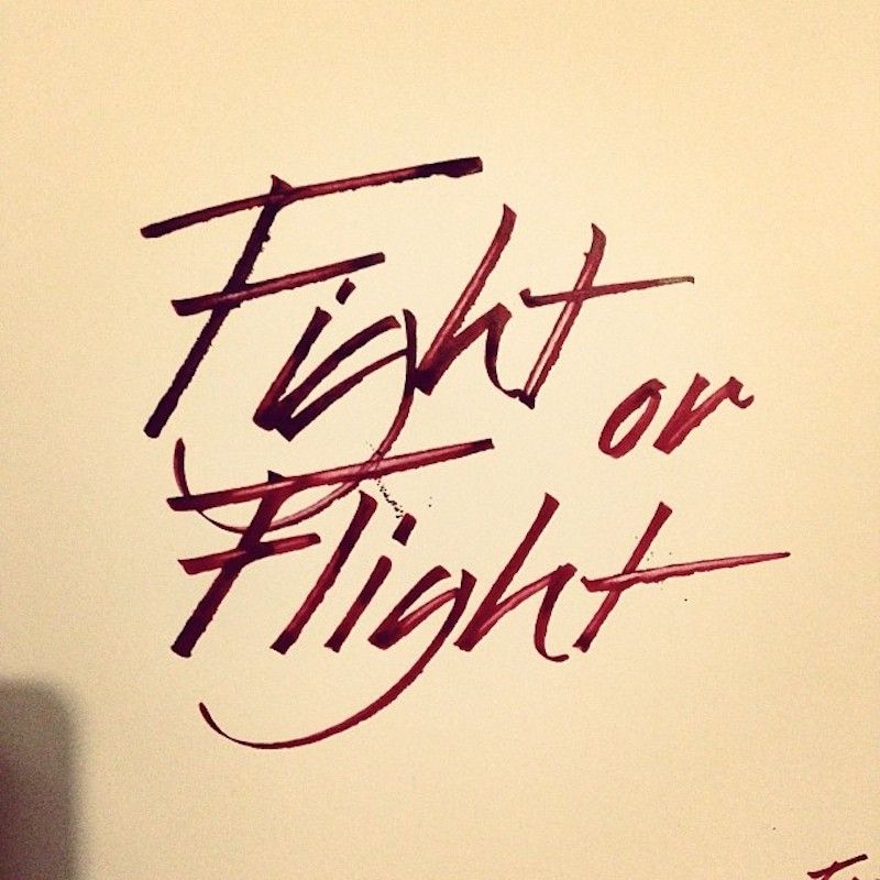 Fight or Flight Sam