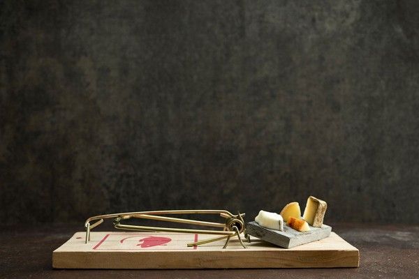 GOURMET-MOUSE-TRAPS-01