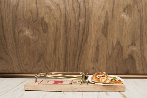 GOURMET-MOUSE-TRAPS-03