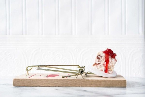 GOURMET-MOUSE-TRAPS-05