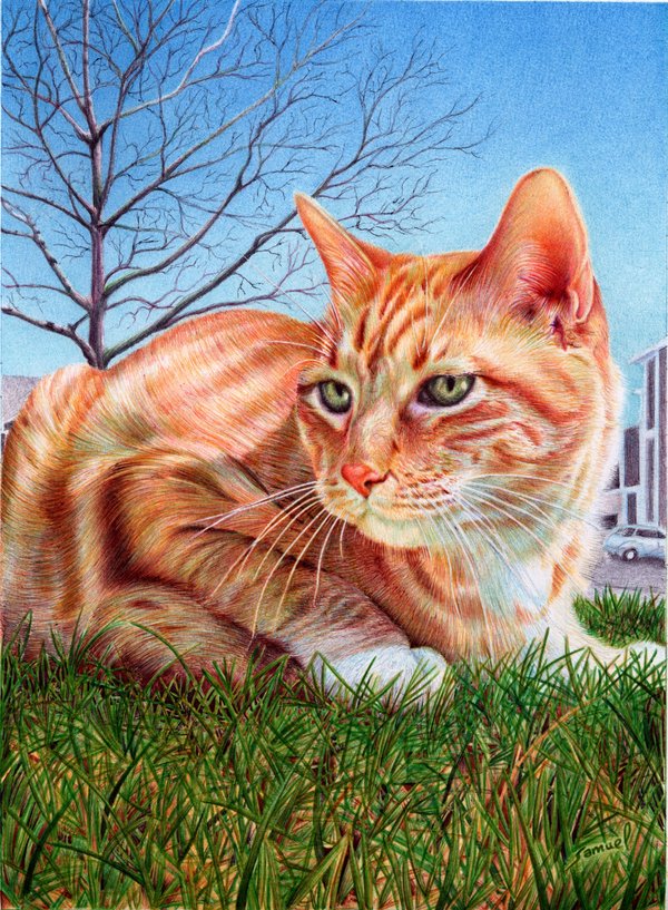 ginger_cat