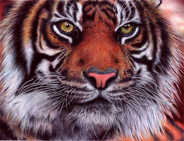 tiger___bic_ballpoint_pen_by_vianaarts