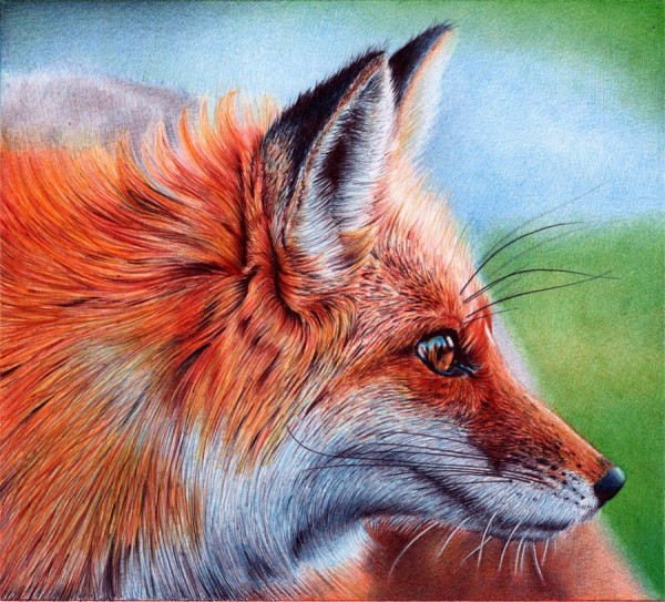 vixen___ballpoint_pen_by_vianaarts