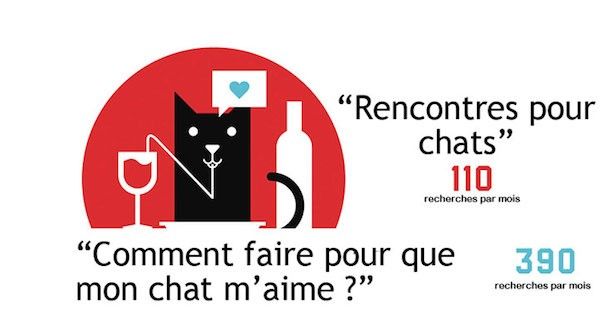 Comment faire pour que mon chat m'aime