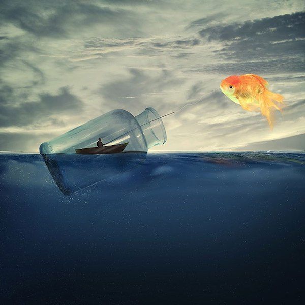 caras ionut poisson