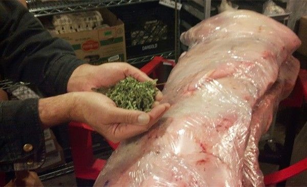 Cochon weed