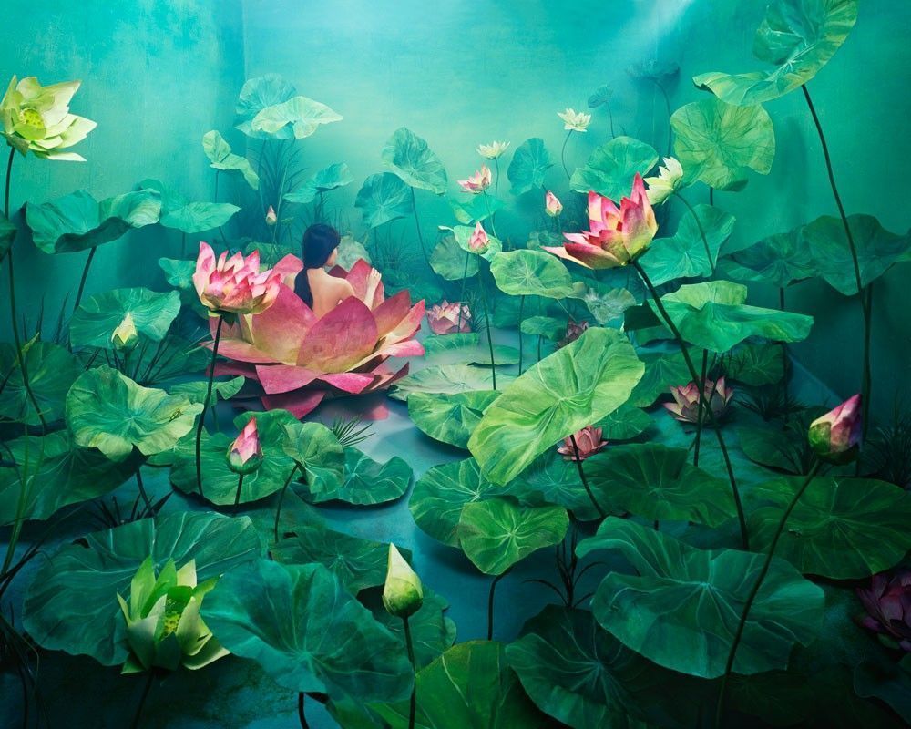 jee young lee nenuphar
