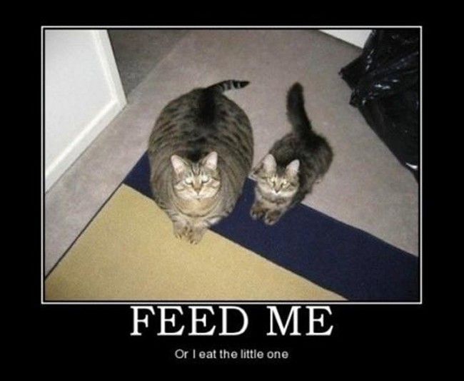 Feed-Me-Or-I-Eat-The-Little-One