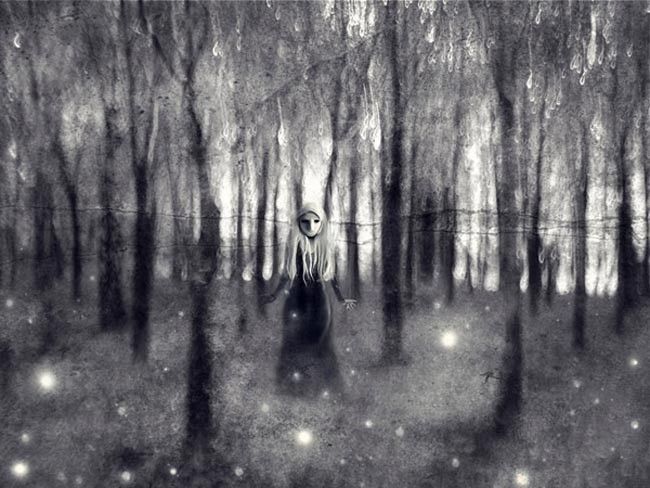 branimir-jaredic-she