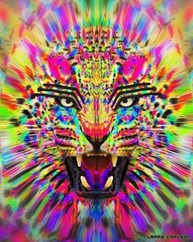 larry-carlson-The-Master-Jaguar