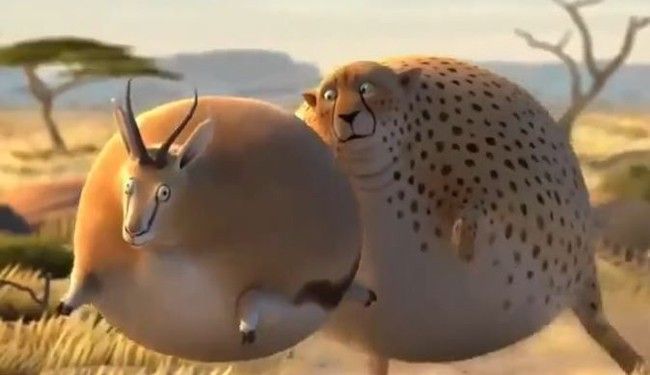 leopard-antilope-fat-animals