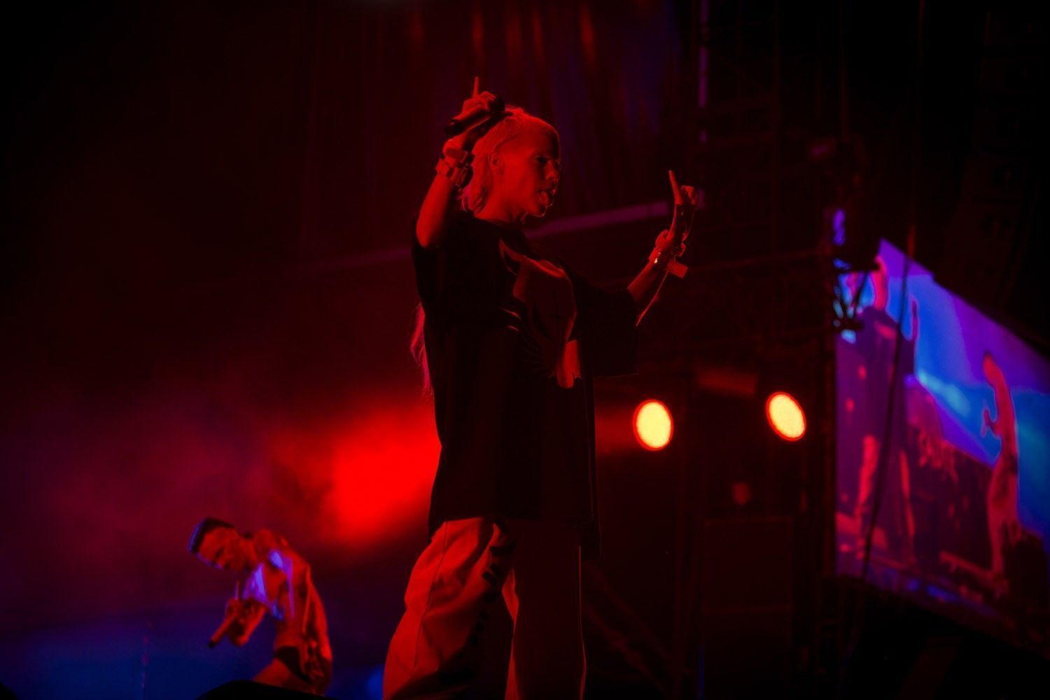 Die Antwoord - Rock en Seine 2014