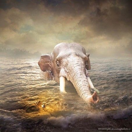 even-liu-manipulation-photo--
