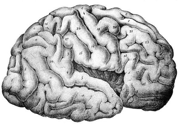 crise d schizophrénie