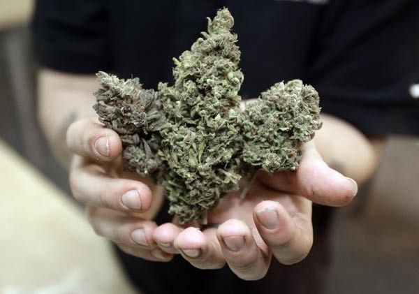 Medical Marijuana Dispensaries