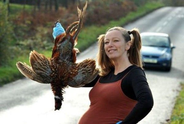 animaux écrasés