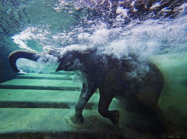 photographies-prisent-au-bon-moment