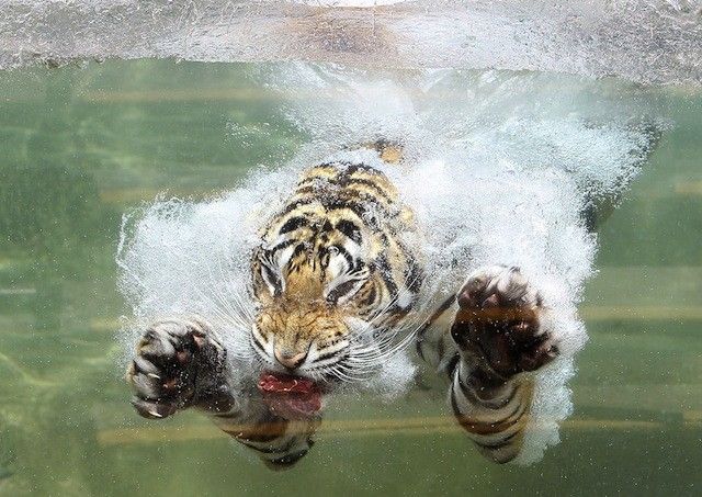 photographies-prisent-au-bon-moment