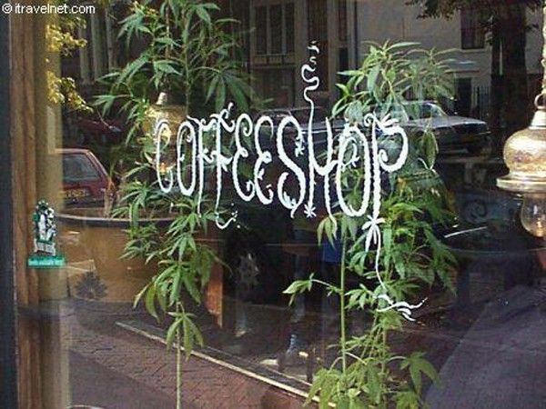 coffee shop
