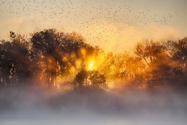 mike-hollingshead-aventurier-photographe-retrospective