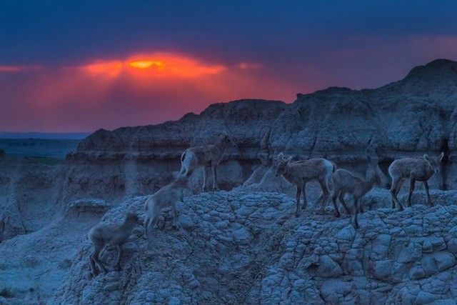 mike-hollingshead-aventurier-photographe-retrospective