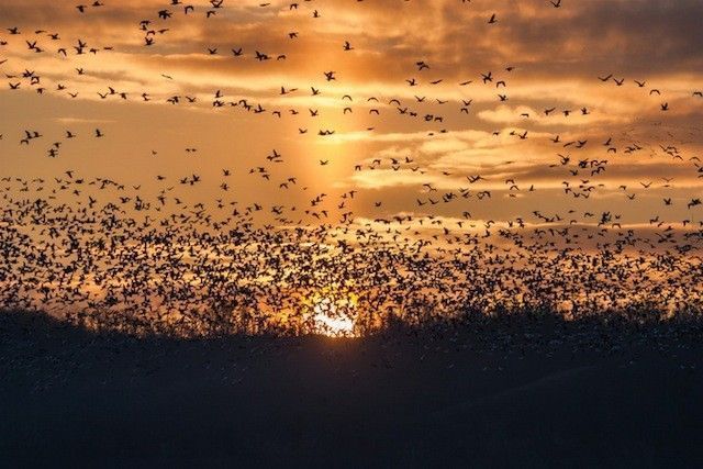 mike-hollingshead-aventurier-photographe-retrospective