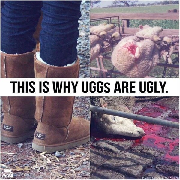 uggs are ugly