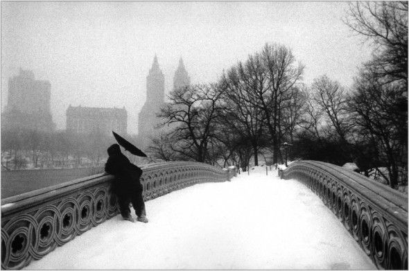 matt-weber-new-york-photographe