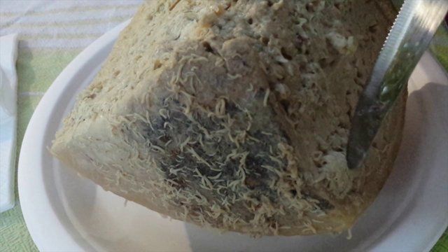 casu marzu casu marzu