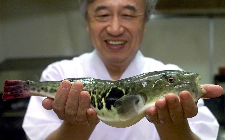 fugu