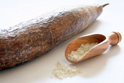 manioc manioc