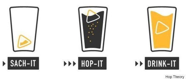 hop theory bière