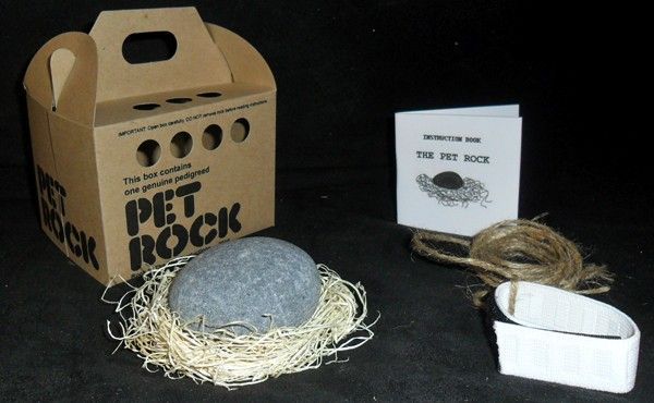 pet rock